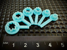 Load image into Gallery viewer, Teeny Tiny - Star Anise