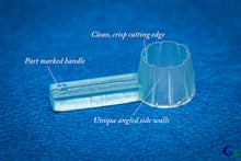 Load image into Gallery viewer, Teeny Tiny - Chyrsanthemum