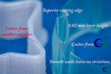 Load image into Gallery viewer, Teeny Tiny - Chyrsanthemum