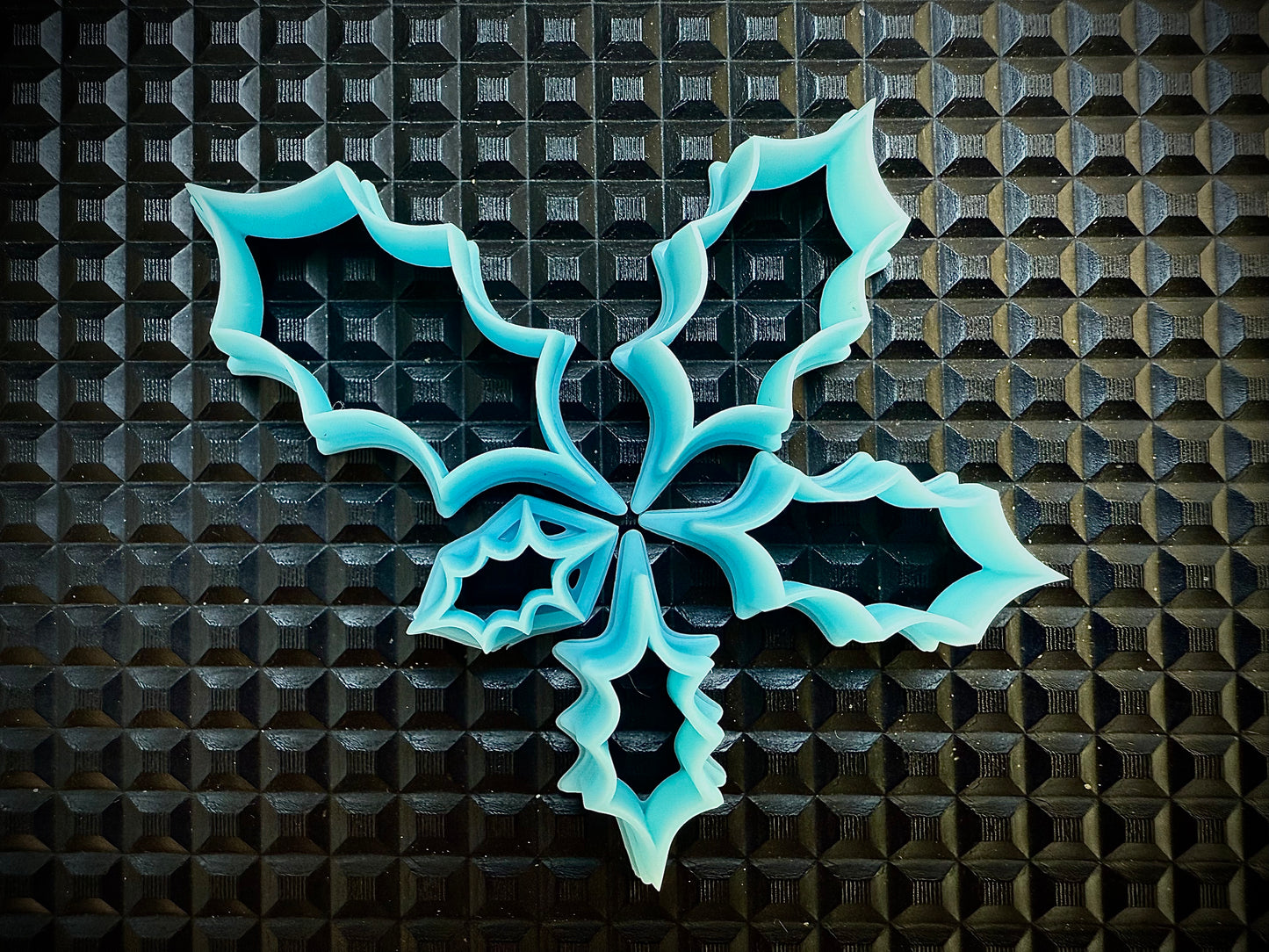 Medium range - Holly Leaves